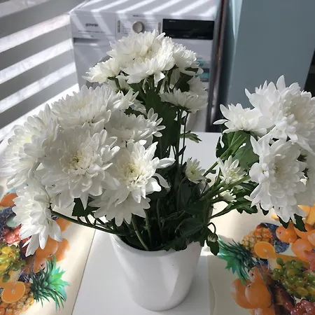 Comfort In Center * Tiran