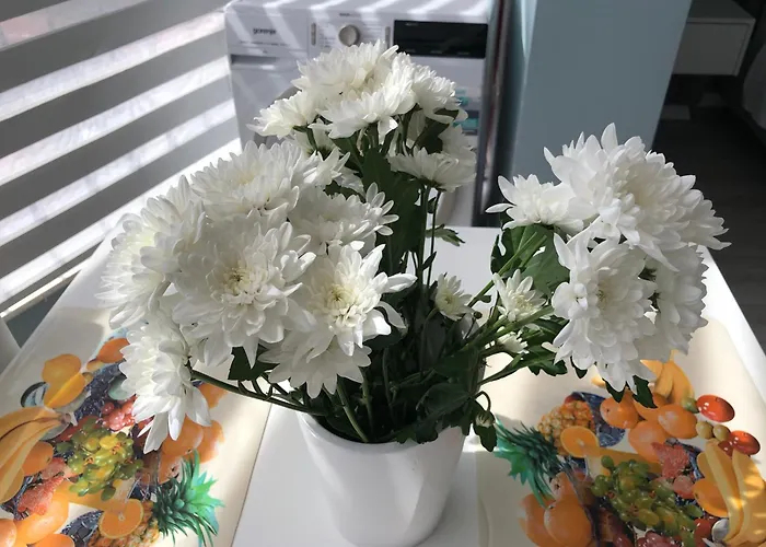 Comfort In Center * Τίρανα