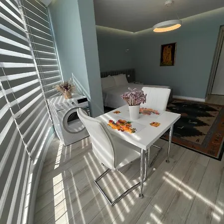 Appartement Comfort In Center *