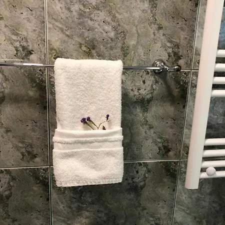 Comfort In Center Tirana